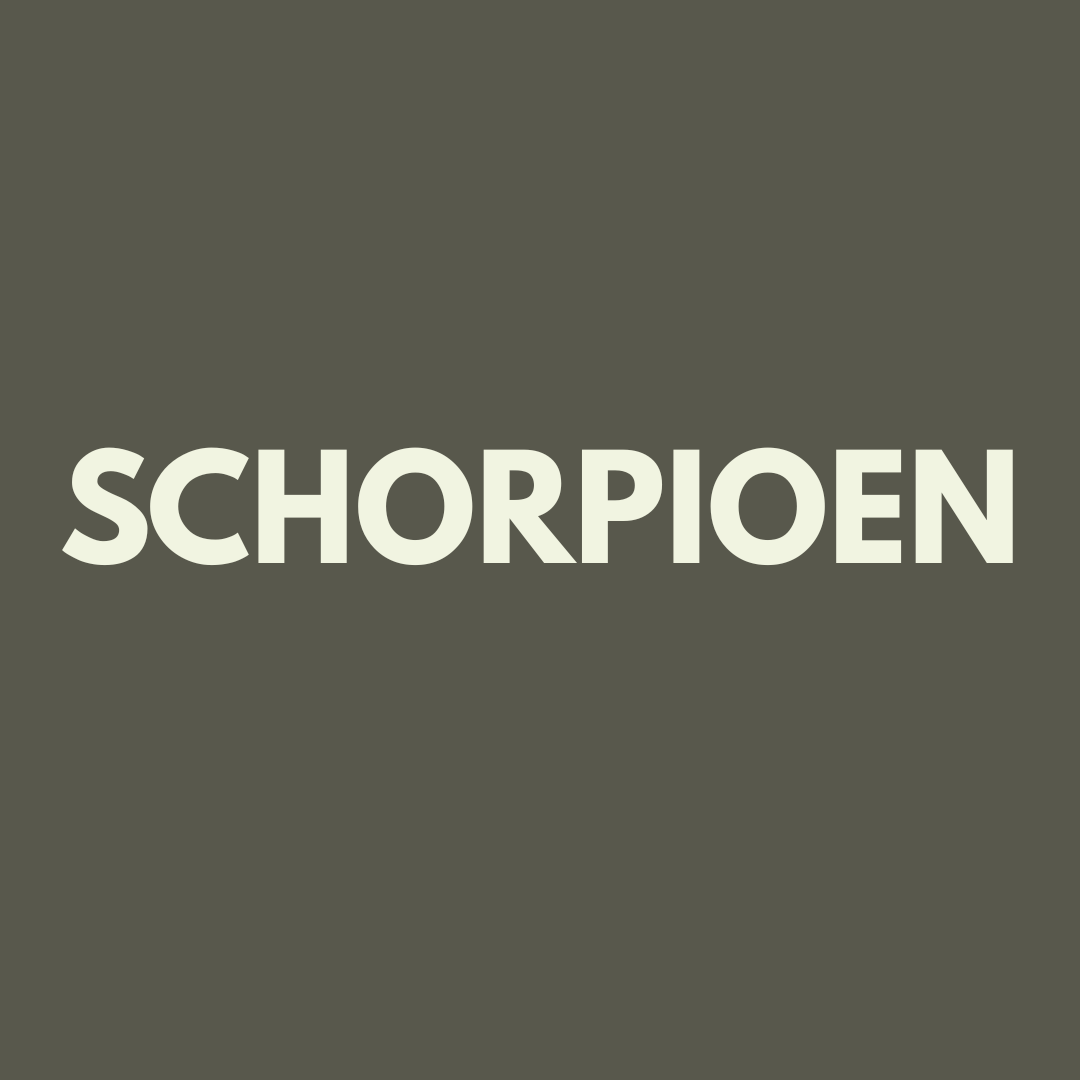 Jaarreading Liefde 2026 SCHORPIOEN